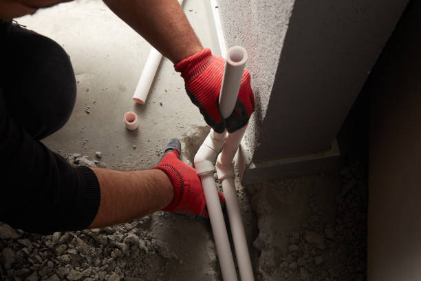 Best Local Plumber Services  in Dolton, IL