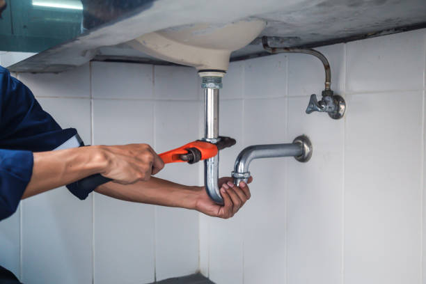 Best Same-Day Plumbing Service  in Dolton, IL